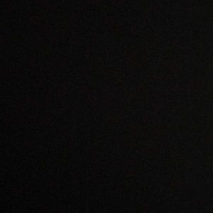 Meet your Posher, Lily